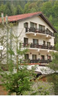 Zan Hotel - Voineasa - 6