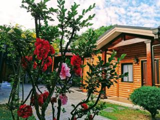 Yun Cui Leisure B&B - Lugu Lake - 3