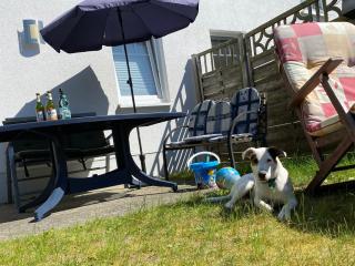 Dünenresidenz Karlshagen - Ferienwohnung Ginsterweg - 3