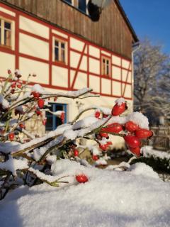 Urlaub im 200 Jahre alten Fachwerkhaus - 0