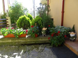 Alpin Residence - Sinaia - 4