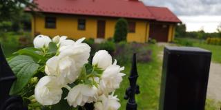 Pszczeli Ogród - agroturystyka - - 1