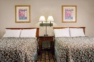 Quality Inn St Paul-Minneapolis-Midway - Saint Paul - 8