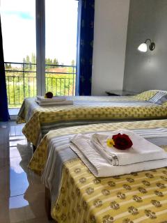 Room in Apartment - Beautiful Apartment in Corfu with Swimming Pool - Rodas - 9