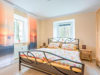Apartment in Rauschenbach near Ore Mountains - Neuhausen - 7