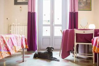 Casa Dani&Swing Bed&Books - Torino - 4