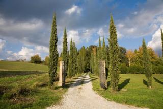 VILLA BENFENATI TUSCANY - Pratovecchio - 9