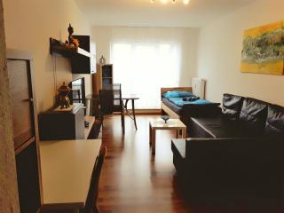 Private apartments close to subway - Nuremberg - 9