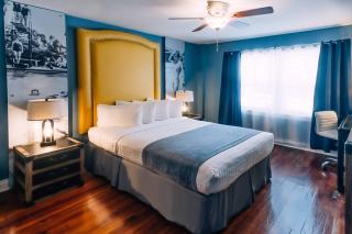 Hollander Hotel - Downtown St. Petersburg - St Petersburg - 8