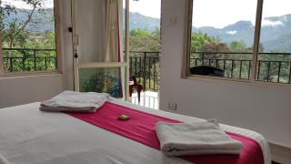 Green Tea View - Munnar - 8