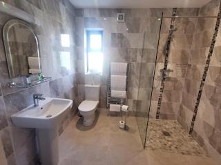 Hillview House - Lusk - 1