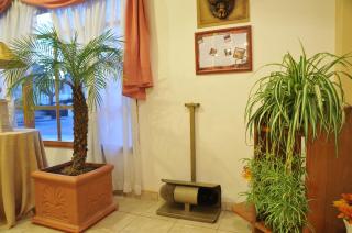 Hotel Salerno - Villa Carlos Paz - 6