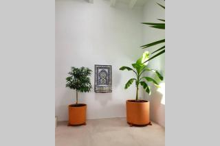 Mojacar Pueblo - Traditional Village House - The Old Jewish Quarter - 1