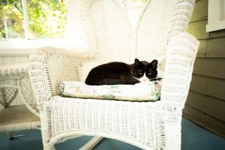 Black Walnut Bed and Breakfast - Interlaken - 2