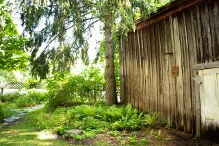 Black Walnut Bed and Breakfast - Interlaken - 8