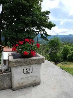 Zeleni brig - 6