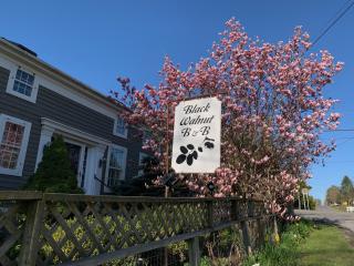Black Walnut Bed and Breakfast - Interlaken - 1