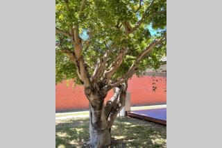 Hazeldene - The Best Location In Town! - 6