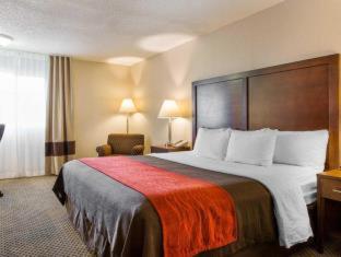 Comfort Inn & Suites Moreno Valley near March Air Reserve Base - 6