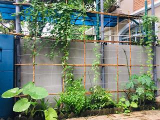 Lim Concept - Lim Fern - Ho Chi Minh - 9