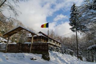 Cabana Valea Bradului - Nucşoara - 5