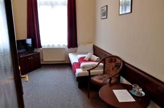 Hotel U Bílého koně - Loket - 9