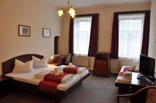 Hotel U Bílého koně - 8
