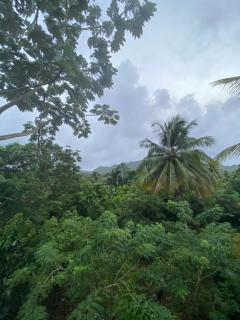 Aventura Rincon Ecolodge - Las Galeras - 1