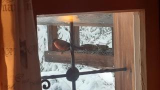 Chalet Teufelsteinblick - Fischbach - 3