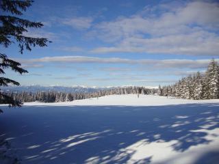 Chalet Teufelsteinblick - Fischbach - 2