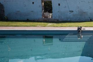 Masseria Mozzone - Fasano - 6