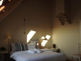 't Staartstuk, in Natuurgebied en vlakbij het Strand - 4