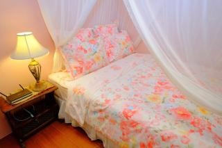 Spring Garden Homestay - 2