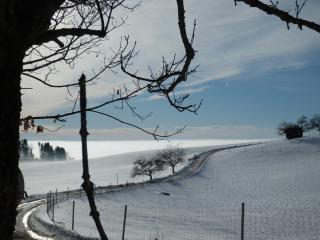 Naturoase Mühlviertel - 7