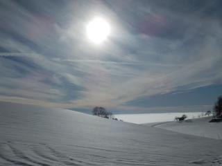 Naturoase Mühlviertel - 5