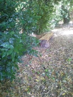 Rancho Apar T - - Tandil - 4