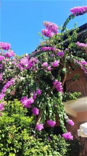 Lovely House - Santa Margherita Ligure - 8