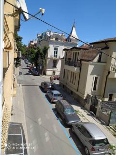 Данделион - 3