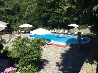 Amalthia Traditional Guesthouse - Tsagarada - 3
