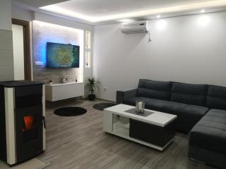 LUX Apartman Tara Pale Jahorina - 9