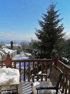 Amalthia Traditional Guesthouse - Tsagarada - 2