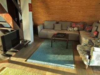 Holiday Home Dana Kopaonik - 4