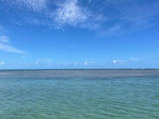 Casa temporada Tamandaré Carneiros - 7