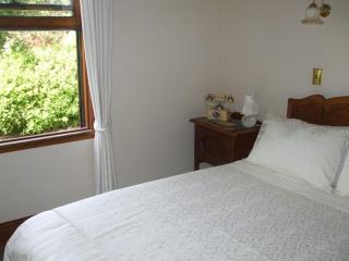 Villa in the Vines - Martinborough - 7