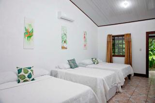 Hotel Tortuguero Beachfront - Tortuguero - 1
