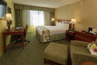 Ramada Plaza by Wyndham Waikiki - Honolulu - 1