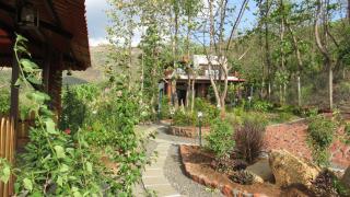 teak trail - Pune - 8