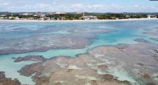 Flat Maui Beach- Com vista e de frente para o mar - 8