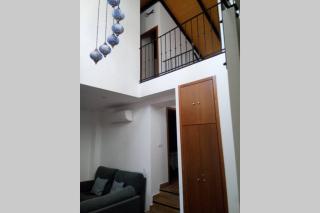 Casa de los Olmos - 3