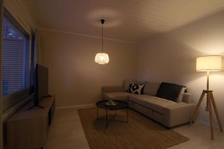 Arctic Circle Holiday Homes - Rovaniemi - 7